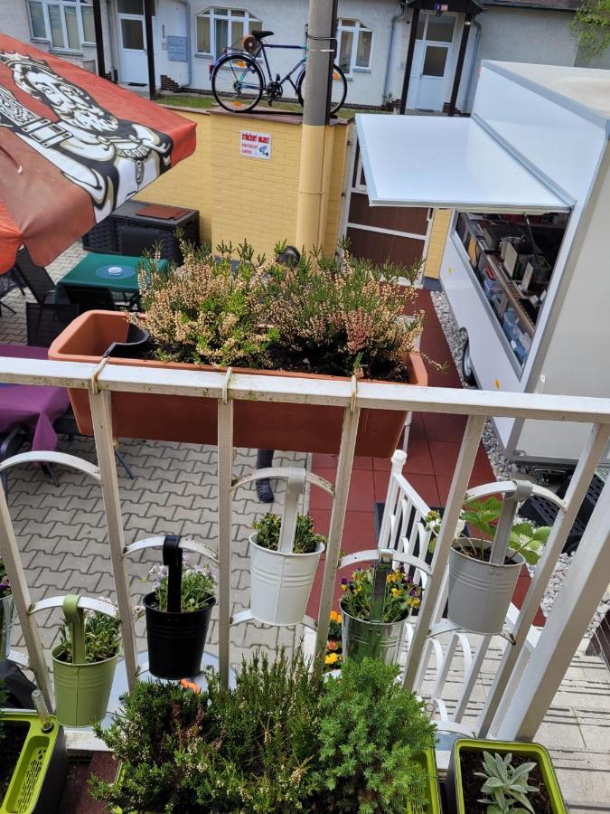 Pension Relax U Komina Frantiskovy Lazne Exterior photo