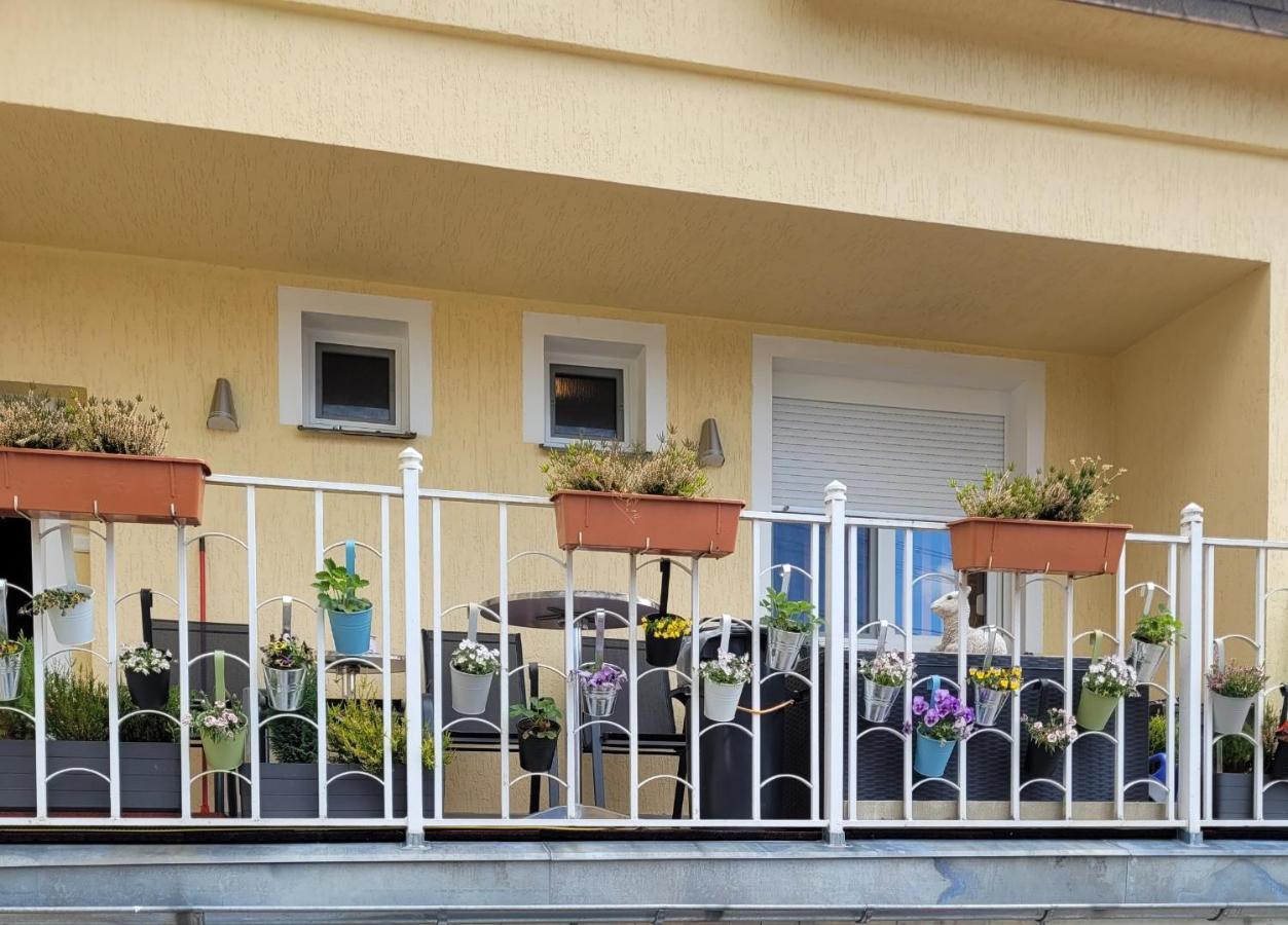Pension Relax U Komina Frantiskovy Lazne Exterior photo